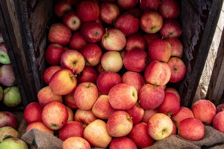 Hingham Farmers Market and Fruit Center Marketplace Continue SNAP