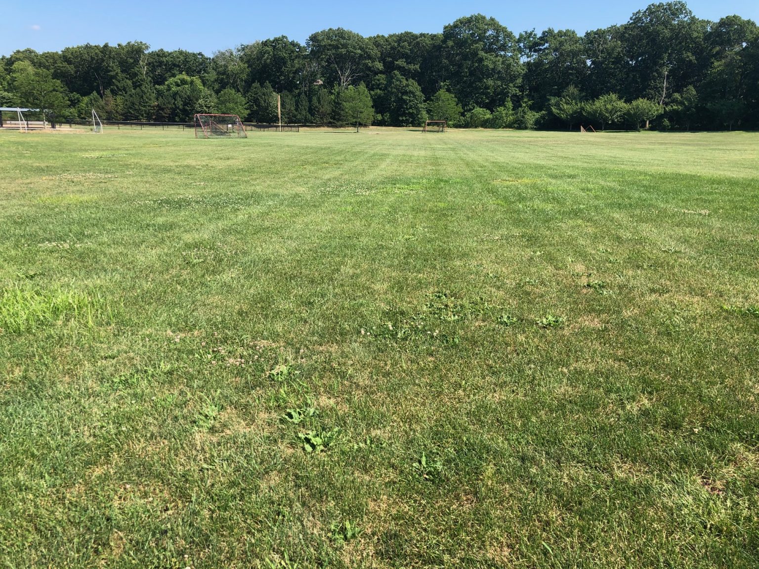 Youth Sports Fund Reseeding of Carlson Fields Hingham Anchor
