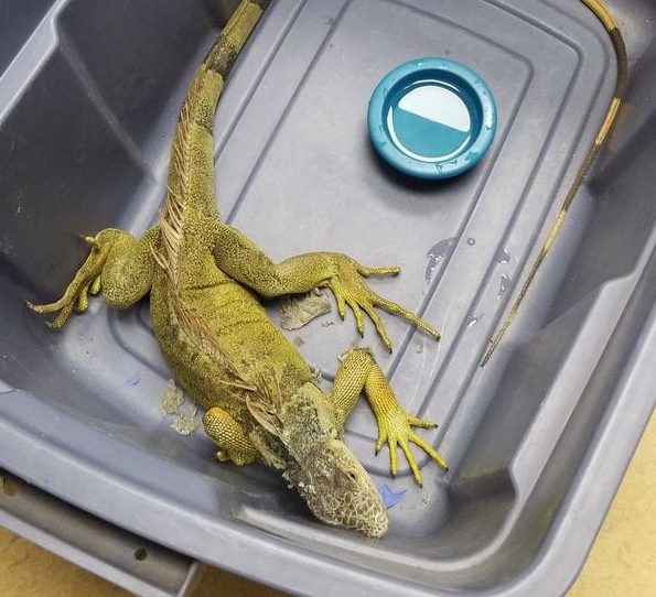 187411809_10225086415652038_1820712609039204838_n