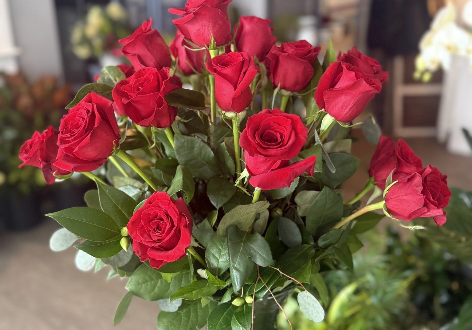 2 dozen red roses