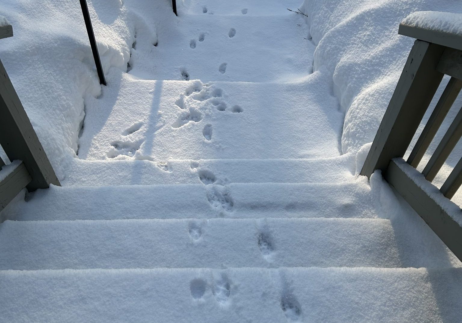 Photo courtesy of Diane Snyder