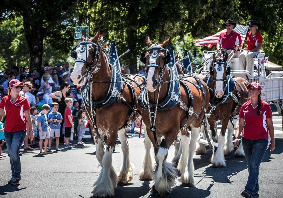 2016 July 4th Parade