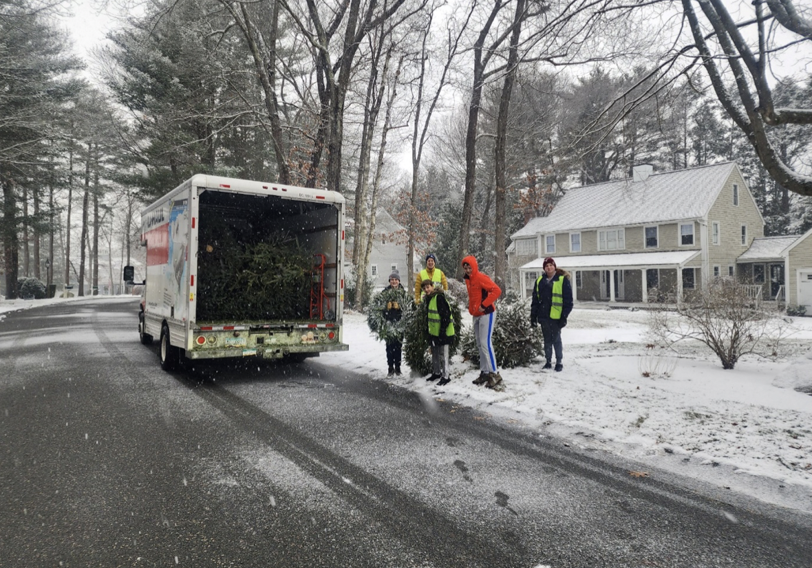 Boy Scouts troop 1 tree
