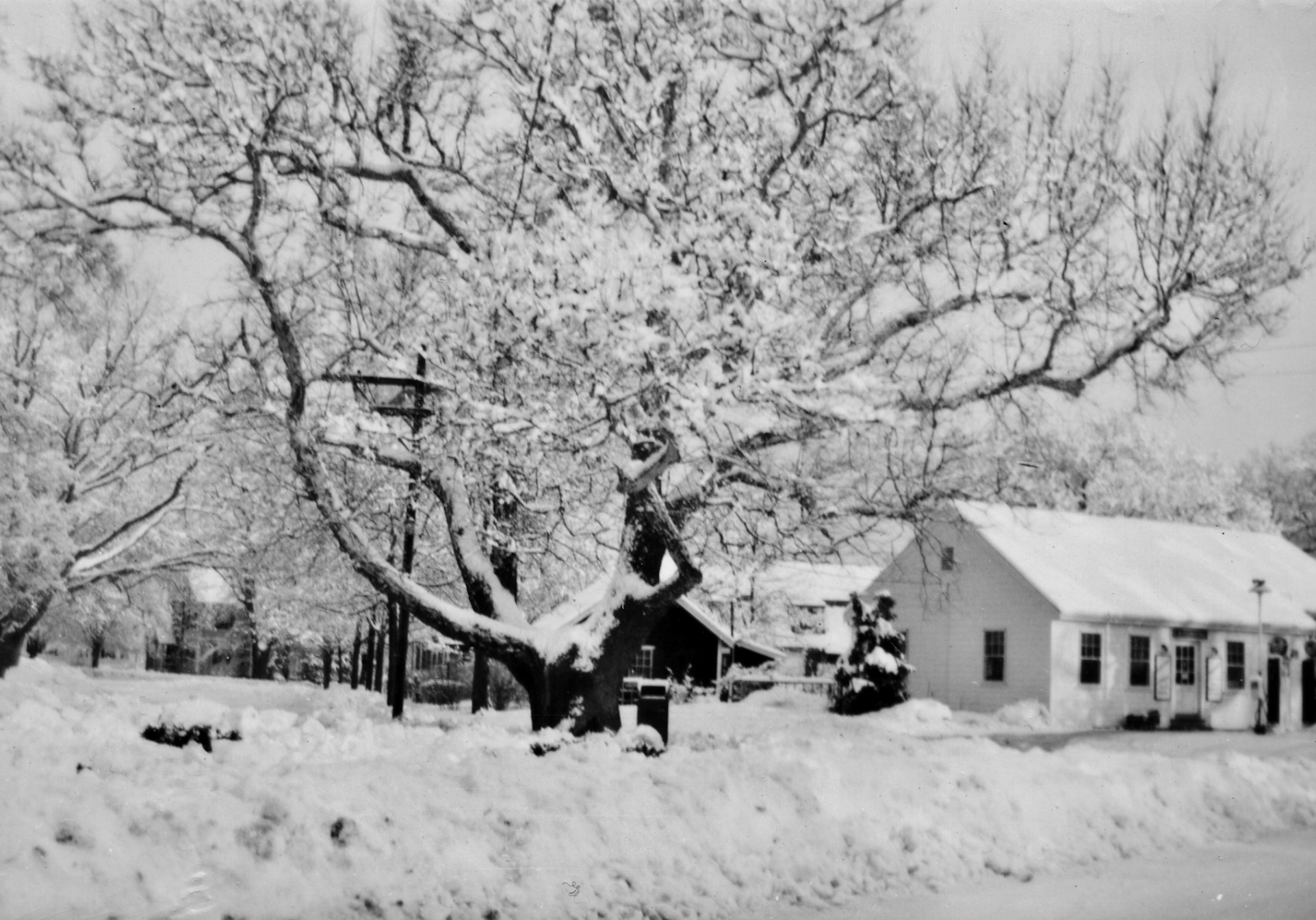 Screen Shot 2026-01-28 at 8.47.17 AM