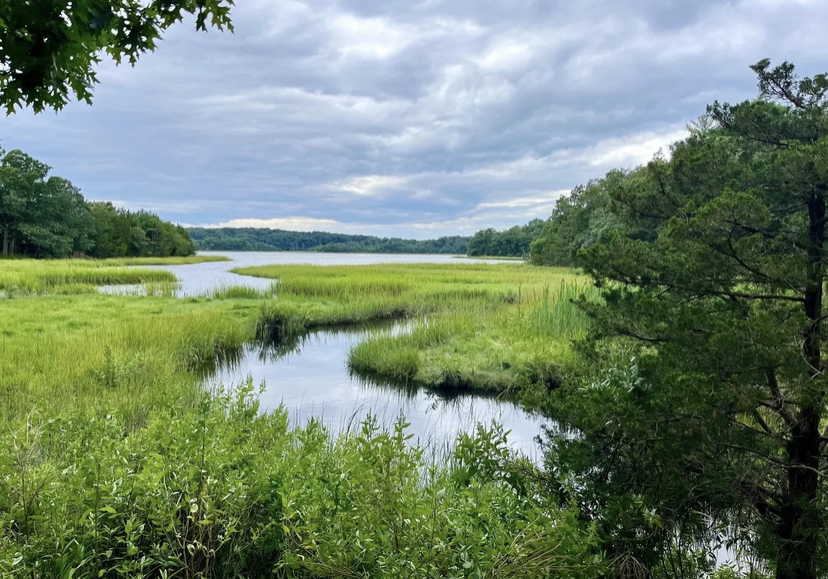 Bare Cove Park (from Barecovepreservation.org) 