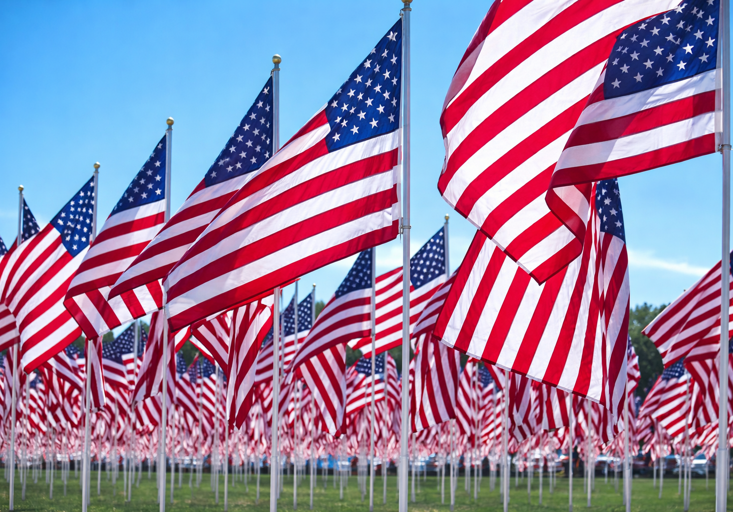 USA Flags Memorial Short