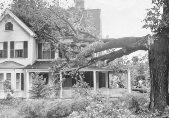 WBW Hurricane