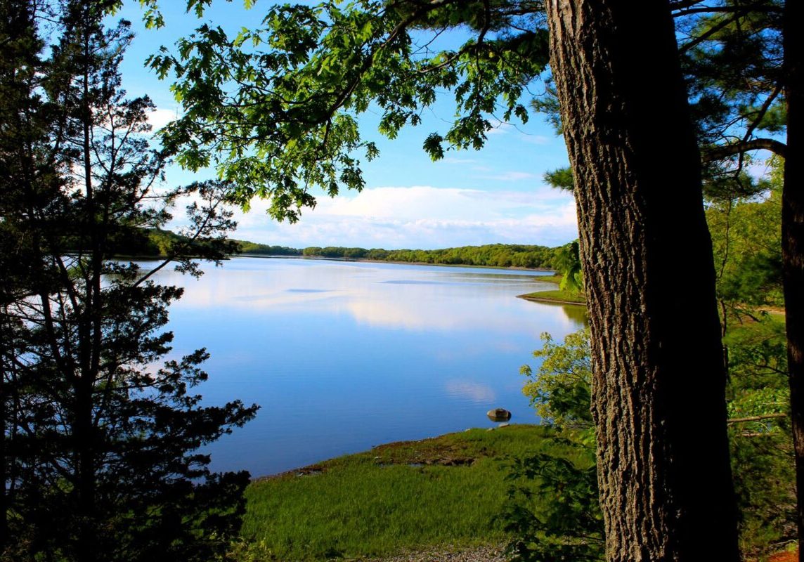 Photo by Will Sutton for the Hingham Land Conservation Trust